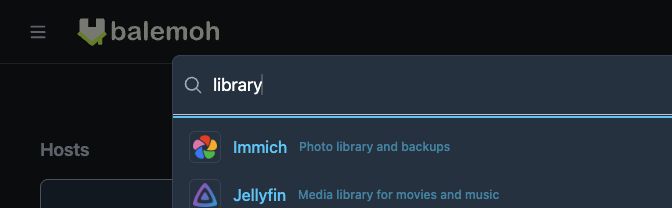 Balemoh search for library returns synthetic Immich and Jellyfin services by matching their descriptions.